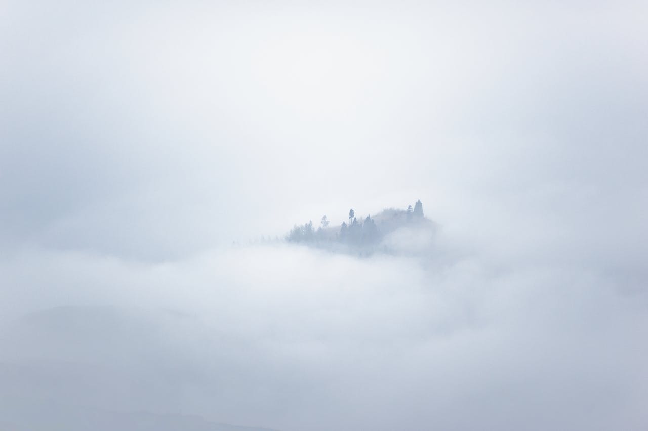 pexels-xperimental-978844