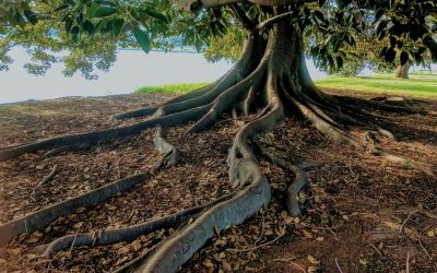 Exposing the Leviathan Spirit