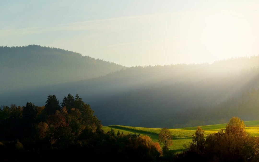 How to Pray Over Anointing Oil: Releasing God’s Healing Power and Presence