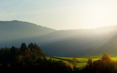 How to Pray Over Anointing Oil: Releasing God’s Healing Power and Presence