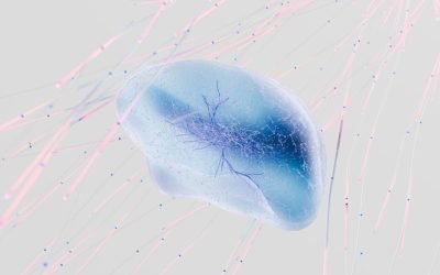 Holy Spirit and Neuroplasticity | Renew Your Mind and Rewire Your Brain Biblically